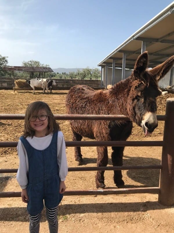 Kid on a farm in Puglia