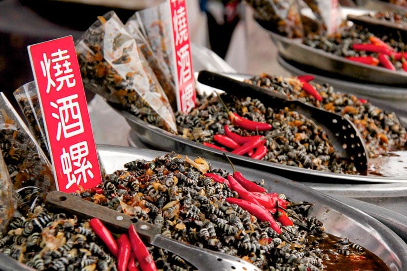 Shochu snails on display, a common Taiwanese snack served on the streets