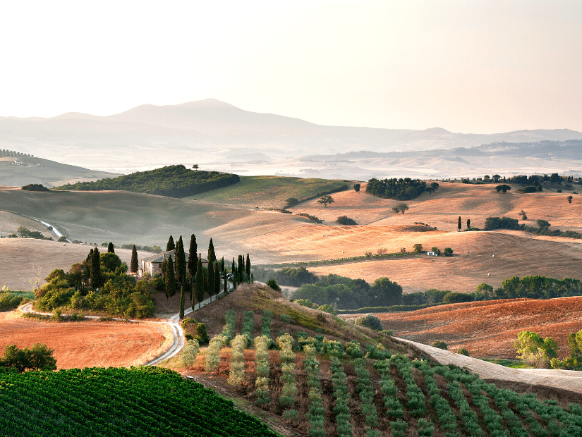 Fields in San Quirico d’Orcia, Tuscany, Italy