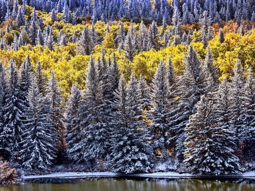 Wintry view of a lake and forest in Cypress Hills, one of the best places to visit in Alberta