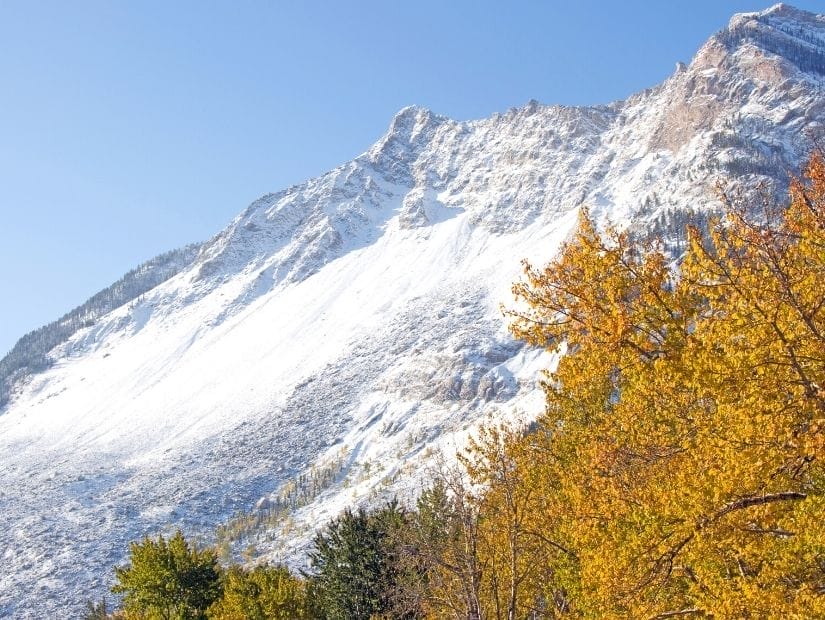 Frank Slide, Alberta with fall foliage in the foreground