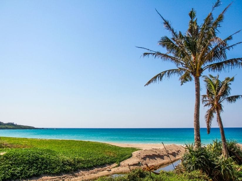 A beach and palm trees in Kenting national park taiwan