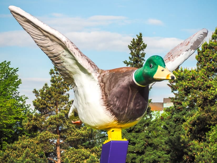 A giant duck in Andrew, Alberta