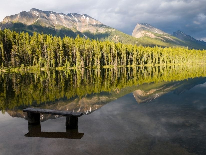 A bench and trees/mountains reflecting on the water on Honeymoon Lake, the best lake for camping in Jasper National Park