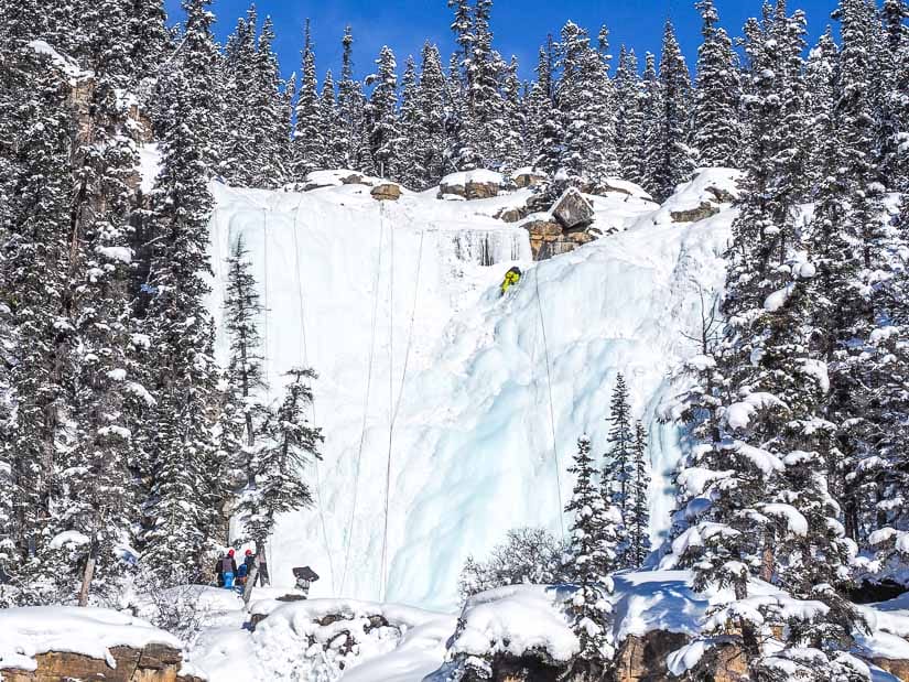 Ice climbers at Tangle Creek Falls on the icefields Parkway in Jasper National Park