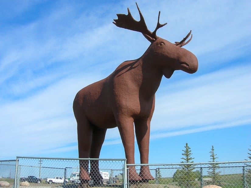 Huge moose statue called Mac the Moose, the world's largest moose
