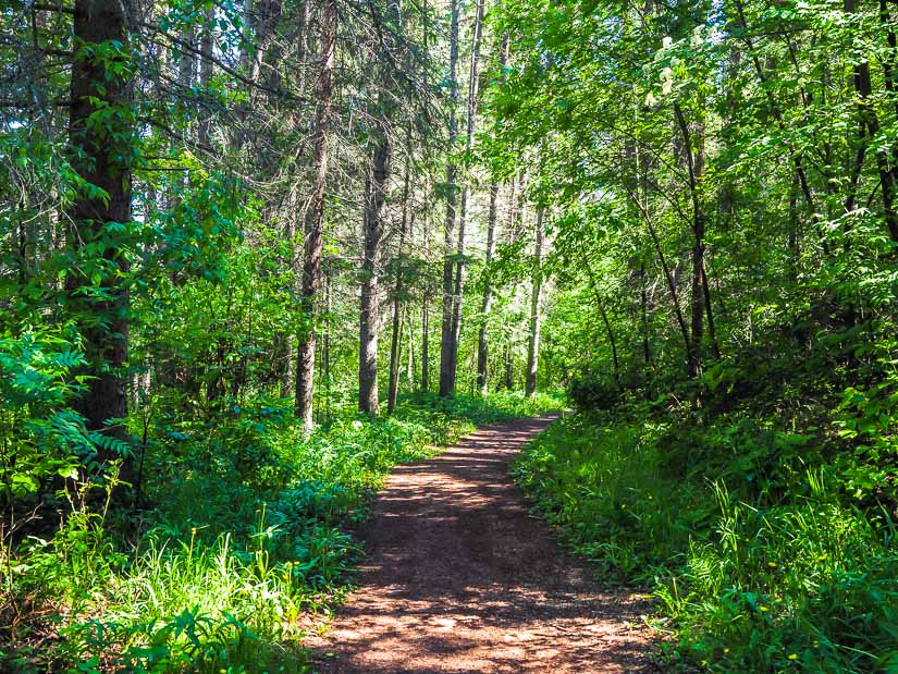 Part of the Devonian Trail, one of the best hikes in Red Deer