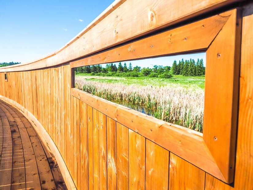 A viewing window for toddlers and young kids at Gaetz Lakes
