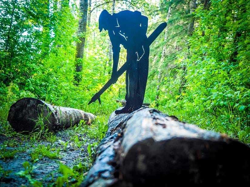 Logging display in the forest near Kiwanis Park and Bower Ponds