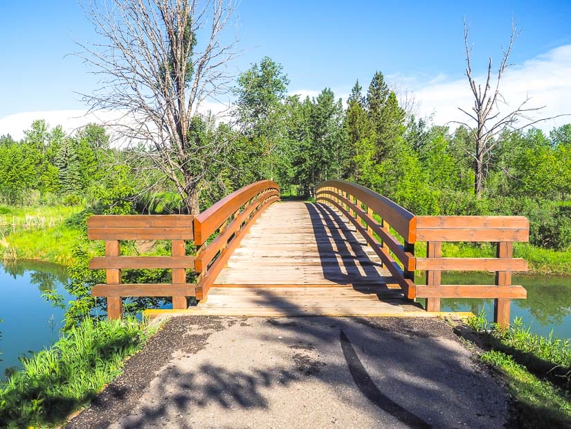 Walking path over a bridge in McKenzie Trails Park