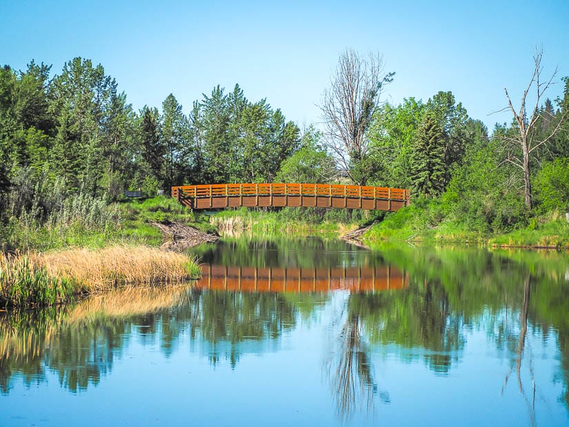 A bridge over a pond at McKenzie Trails Park