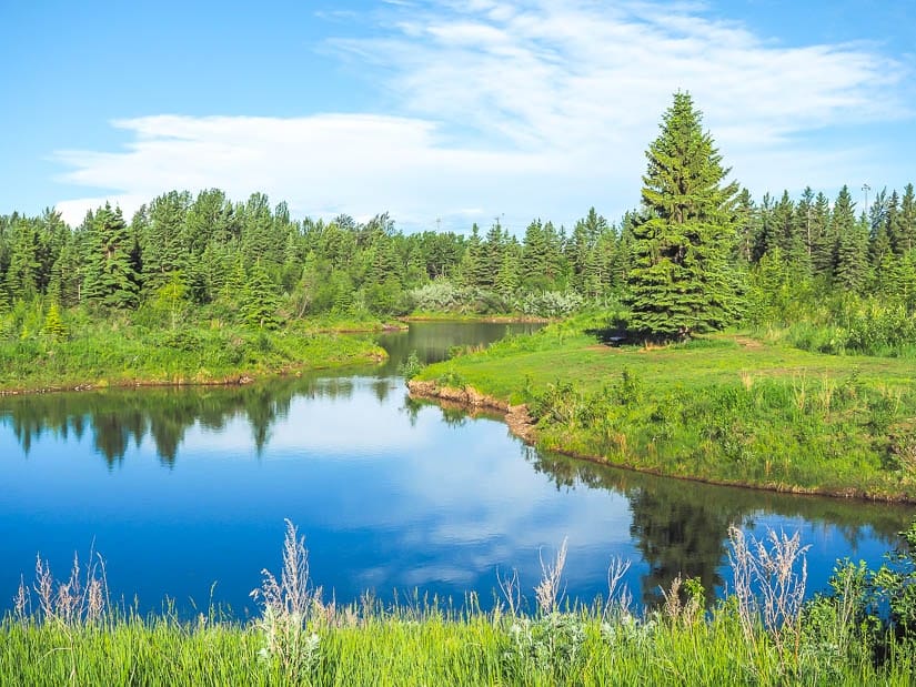 Three Mile Bend (3 Mile Bend) in Red Deer