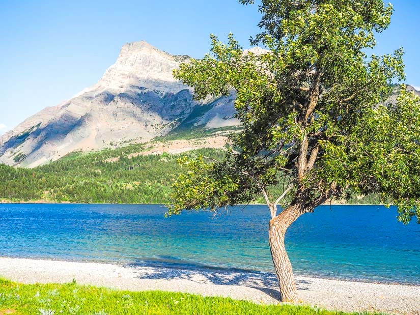 A single beach on a rocky beach in Waterton Lakes National Park