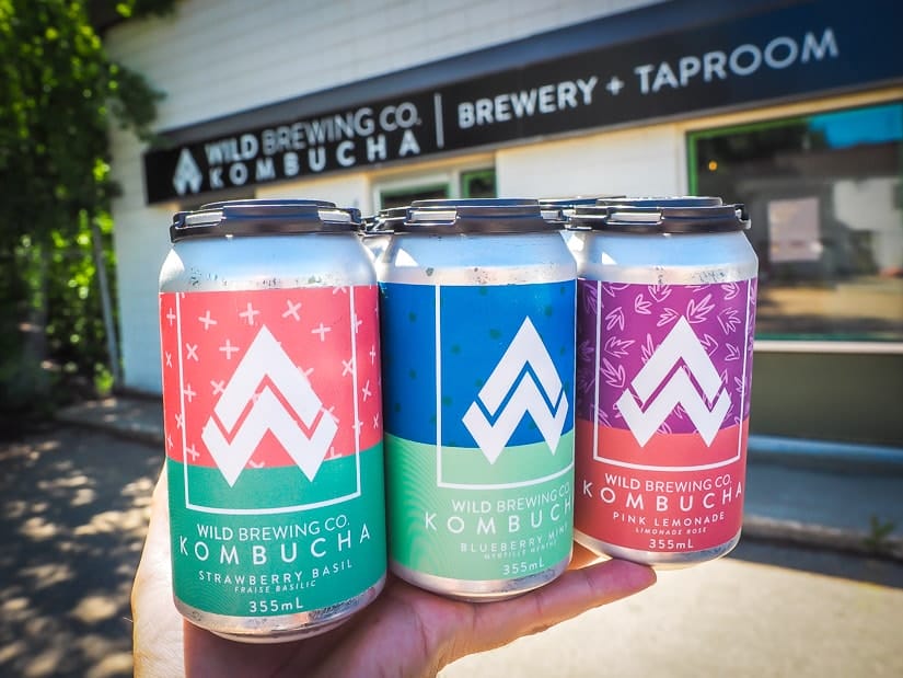 A six-pack of Kombucha from Wild Brewing Red Deer