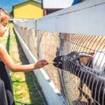 Best Abbotsford activities and things to do with kids in Abbotsford British Columbia