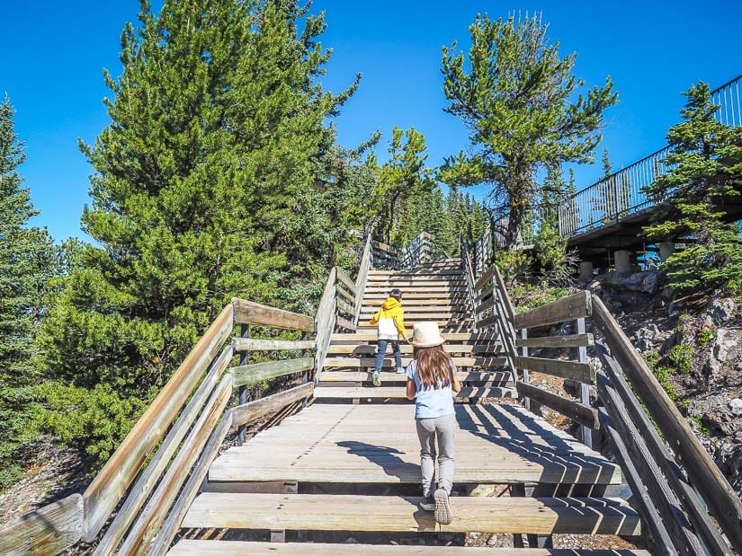 Two kids climbing up the boardwalk stairs on the peak of Sulphur Mountain