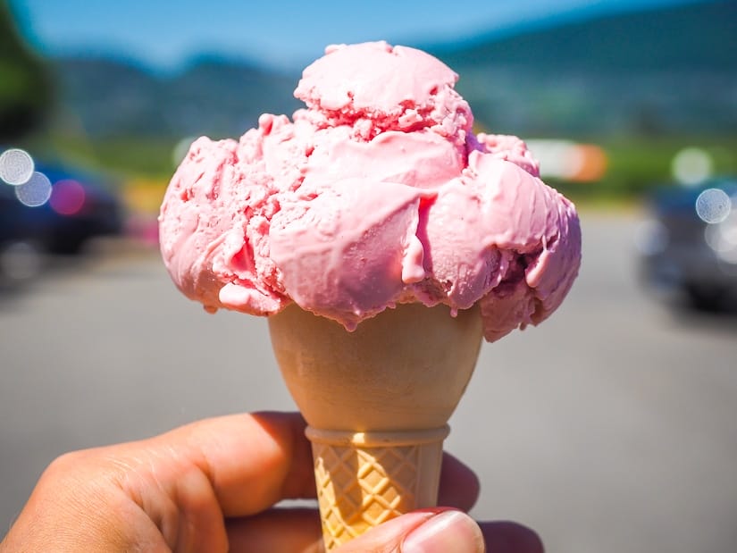 Hand holding a pink ice cream cone at Birchwood Dairy Farm in Abbotsford