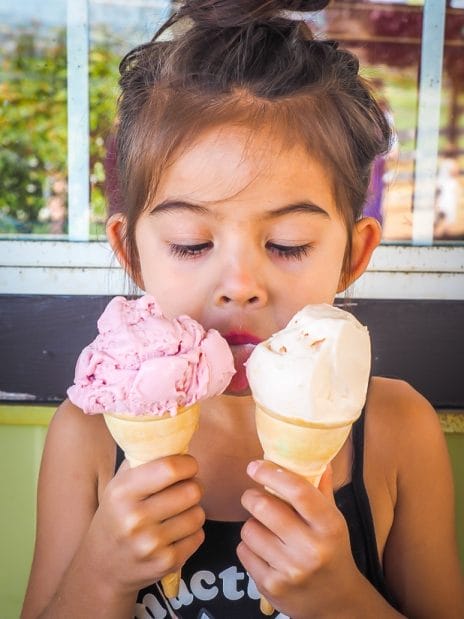 Kid licking two ice cream cones at the same time at Birchwood Dairy Farm