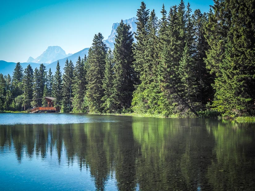 Trees reflecting in Canmore Skating Pond