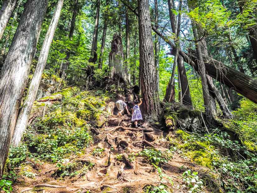 Two kids hiking down a steep trail to Davis Lake