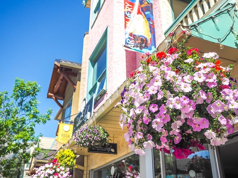 Some flowers and buildings on the street in downtown Canmore