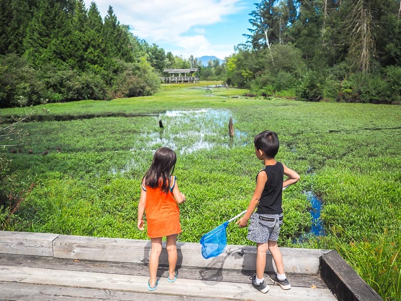 Two kids standing on a dock looking at a pond in Fishtrap Creek Park Abbotsford