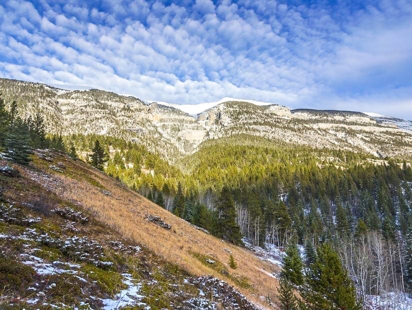Grotto Mountain in Kananaskis