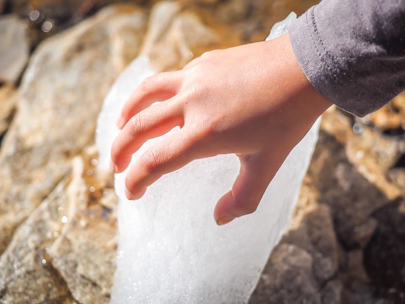 A kid's hand on a piece of ice.
