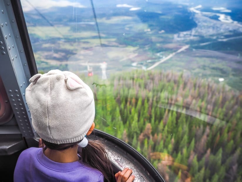 A kid looking out the window of the Jasper Skytram
