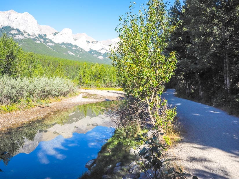 A trail beside a creek, Larch island trail