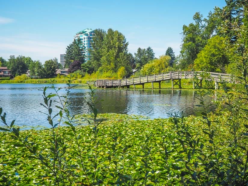 View of Mill Lake and a walking bridge over it