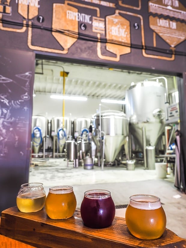 Flight of beer samples on a table with a brewing room in the background at Old Abbey Ales