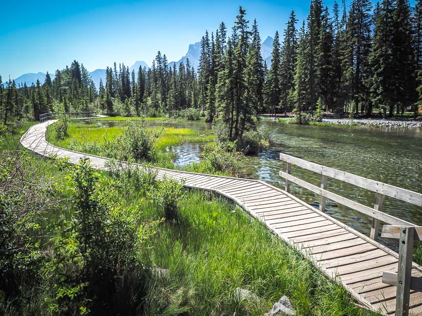A boardwalk running along Policeman's Creek, one of the best walking trails in Canmore