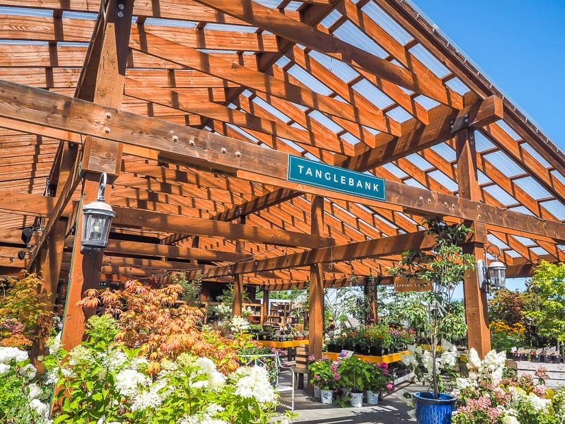 Plants on display in Tanglebank Gardens Abbotsford