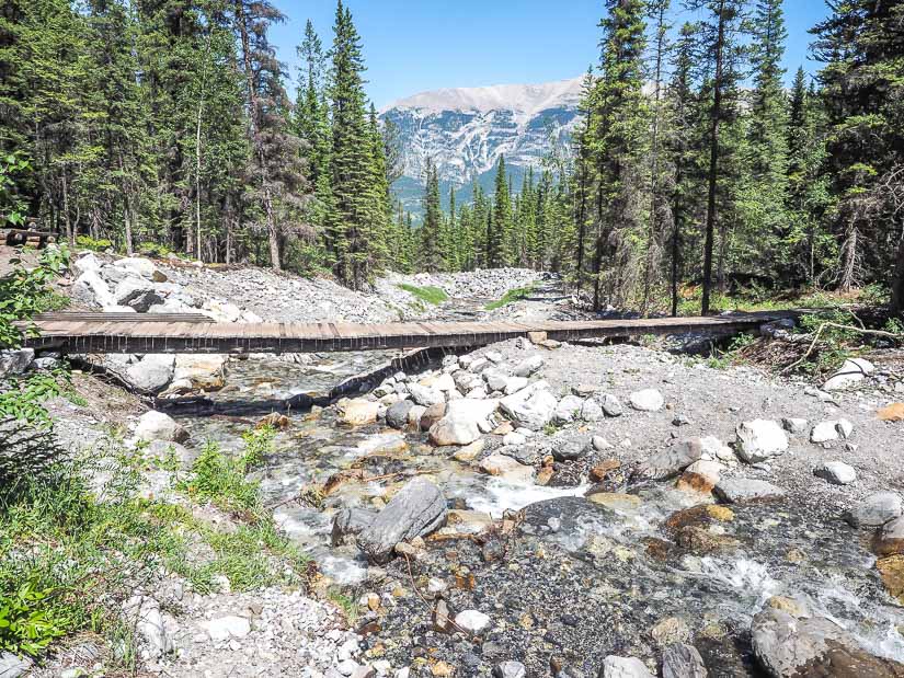 A bridge over a creek on the Three Sisters Creek Trail, one of the best walking trails in Canmore with kids