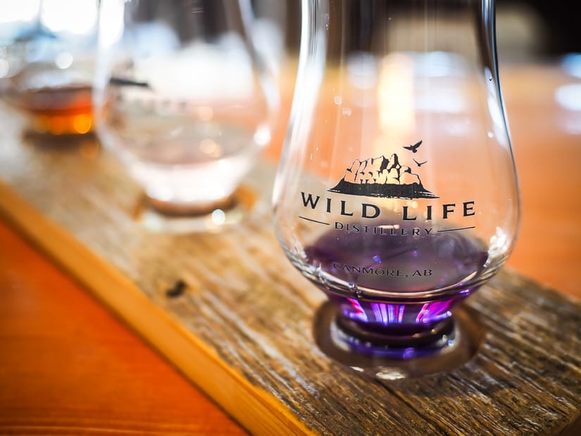 Spirit samples at Wild Life Distillery 