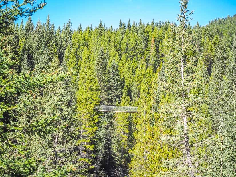 View of Blackshale Suspension Bridge from further down the trail