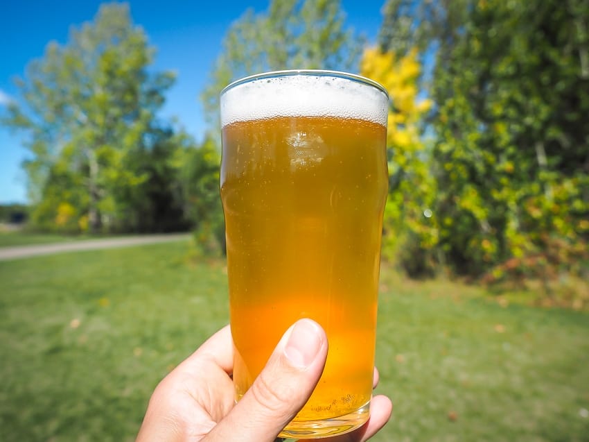 A hand holding up a pint of beer, which you can legally drink in some Edmonton parks