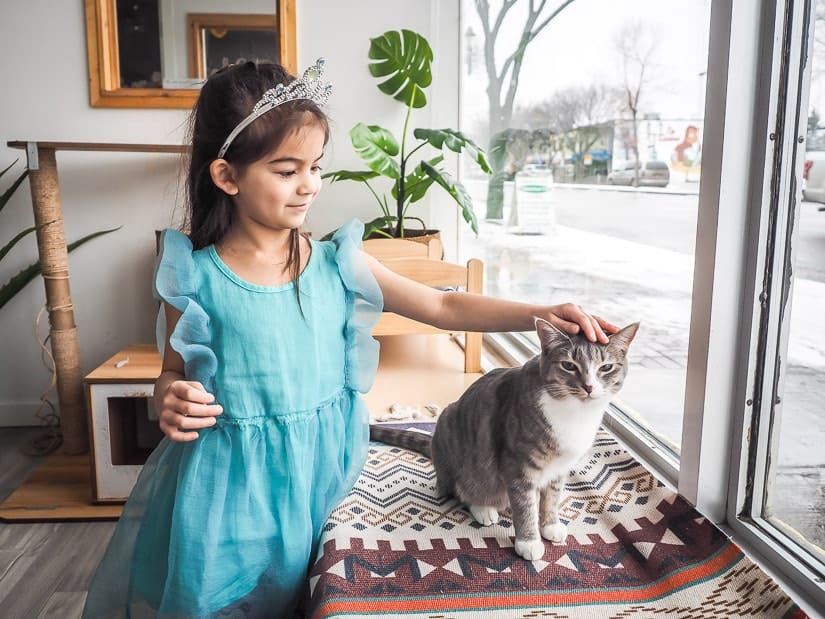 A girl petting a cat in Cat Cafe on Whyte