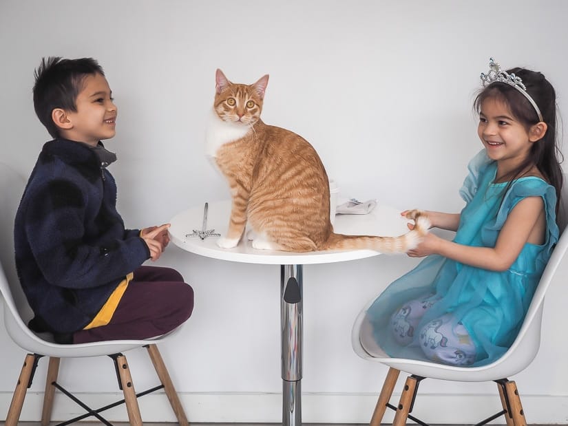 Two kids sitting at a table with a cat on it at Edmonton Cat Cafe on Whyte