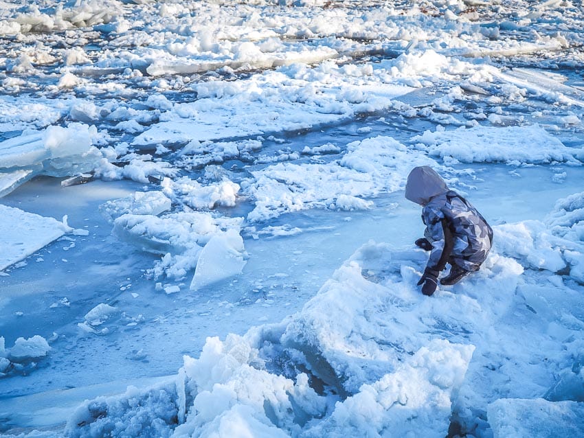 A kid looking at frozen chunks of ice on the river in Edmonton