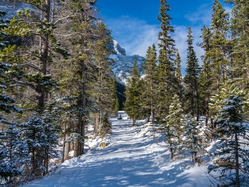 Grassi Lakes Trail in winter
