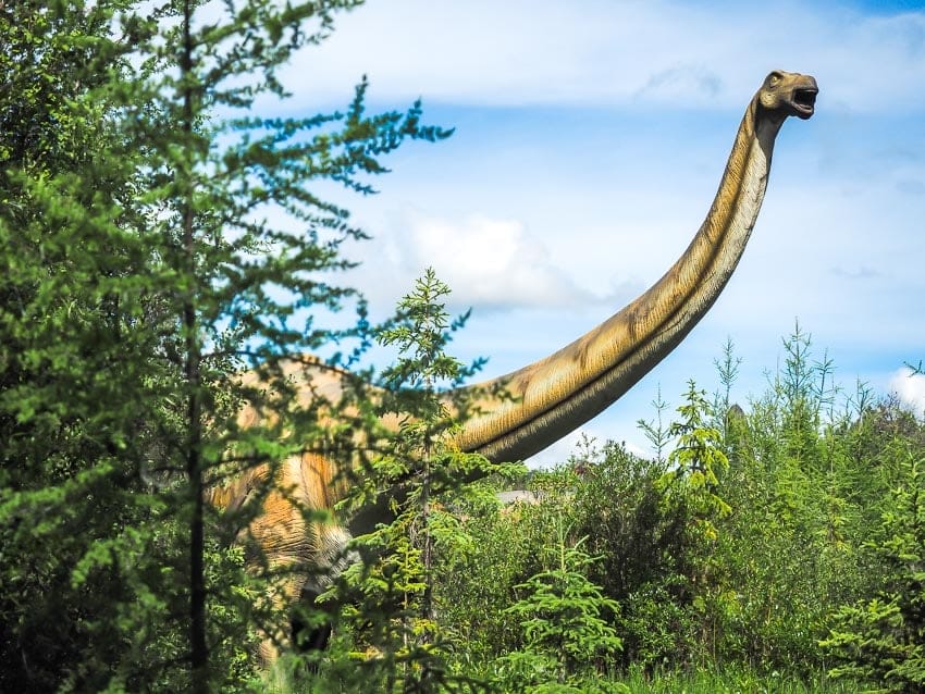 A long-necked dinosaur hiding in the trees at Jurassic Forest Edmonton