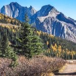 A guide to the best easy, short kananaskis hikes for kids, strollers, wheelchairs, or easy walking trails