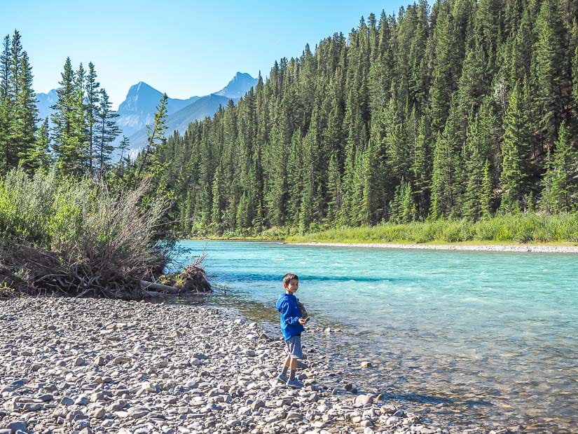 A boy standing by the river on Larch Island Trail, one of the best easy walking trails in Canmore and Kananaskis