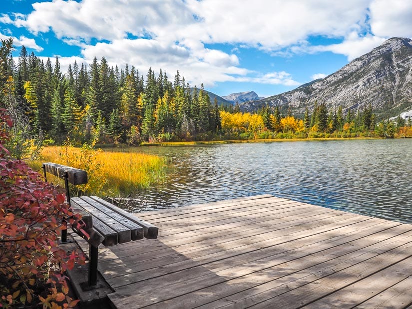 A dock with a bench on Many Springs Lake in Kananaskis