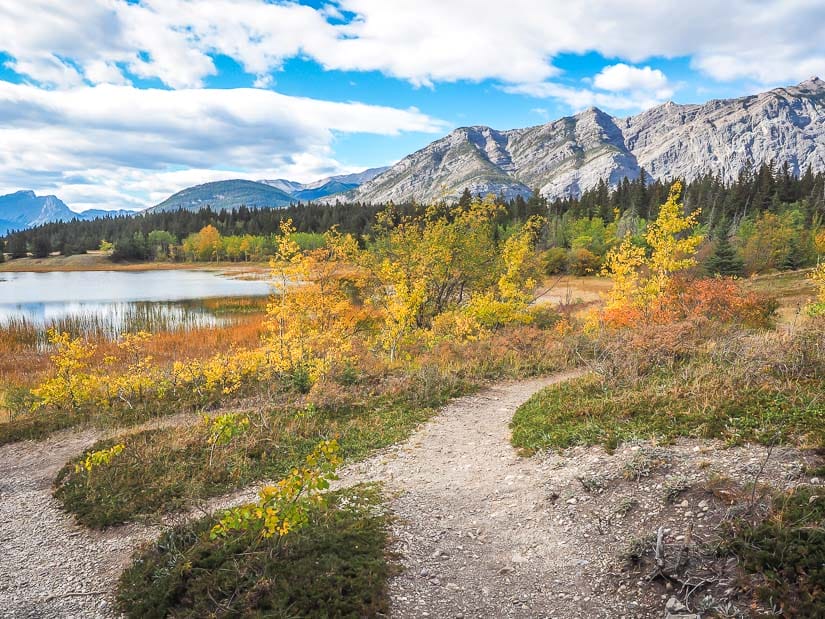 Easy walking trail around Middle Lake in Bow Valley, Kananaskis