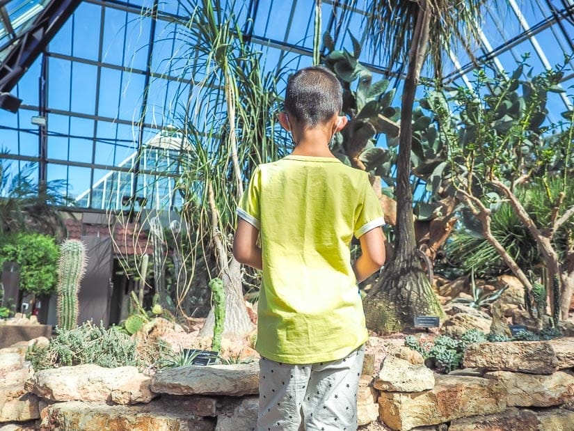 A boy standing inside a glass pyramid of the Muttart Conservatory with plants all around him