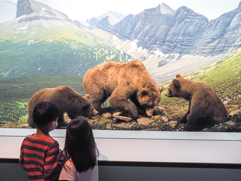 Two kids looking at a bear exhibit in the Royal Alberta Museum in Edmonton