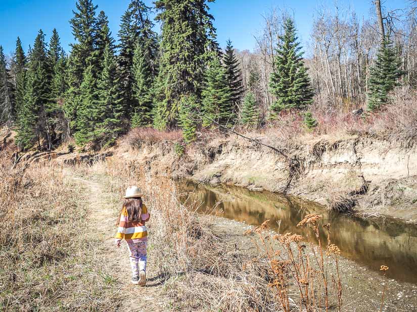 A girl walking on a trail beside a creek in Whitemud Creek Ravine, one of the best places to go hiking with kids in Edmonton